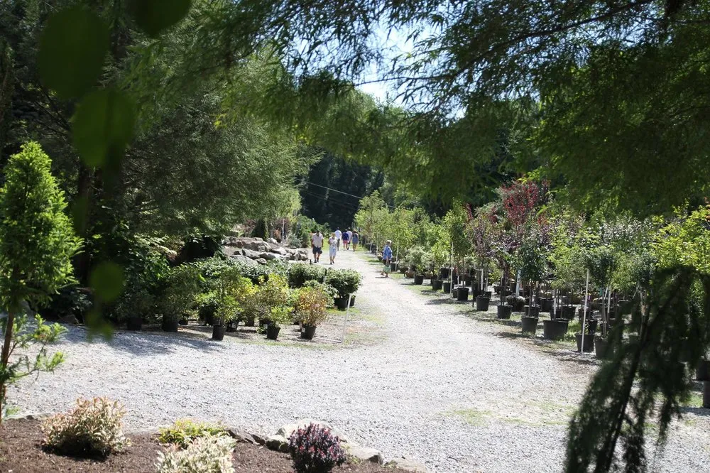 Top-rated landscape installation for beautiful yards across Murrysville, PA - Plumline Nursery