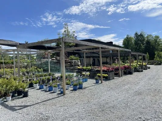 Plumline Nursery