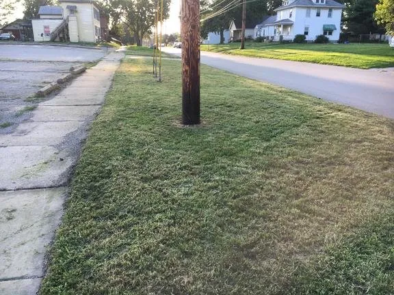 Custom yard cleanup service in Springfield, IL by Plummer Lawn Care Service