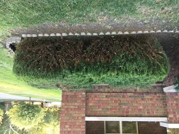 Reliable landscaping services in Springfield, IL - Plummer Lawn Care Service