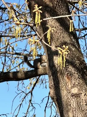 Plummers Lawn and Gutter