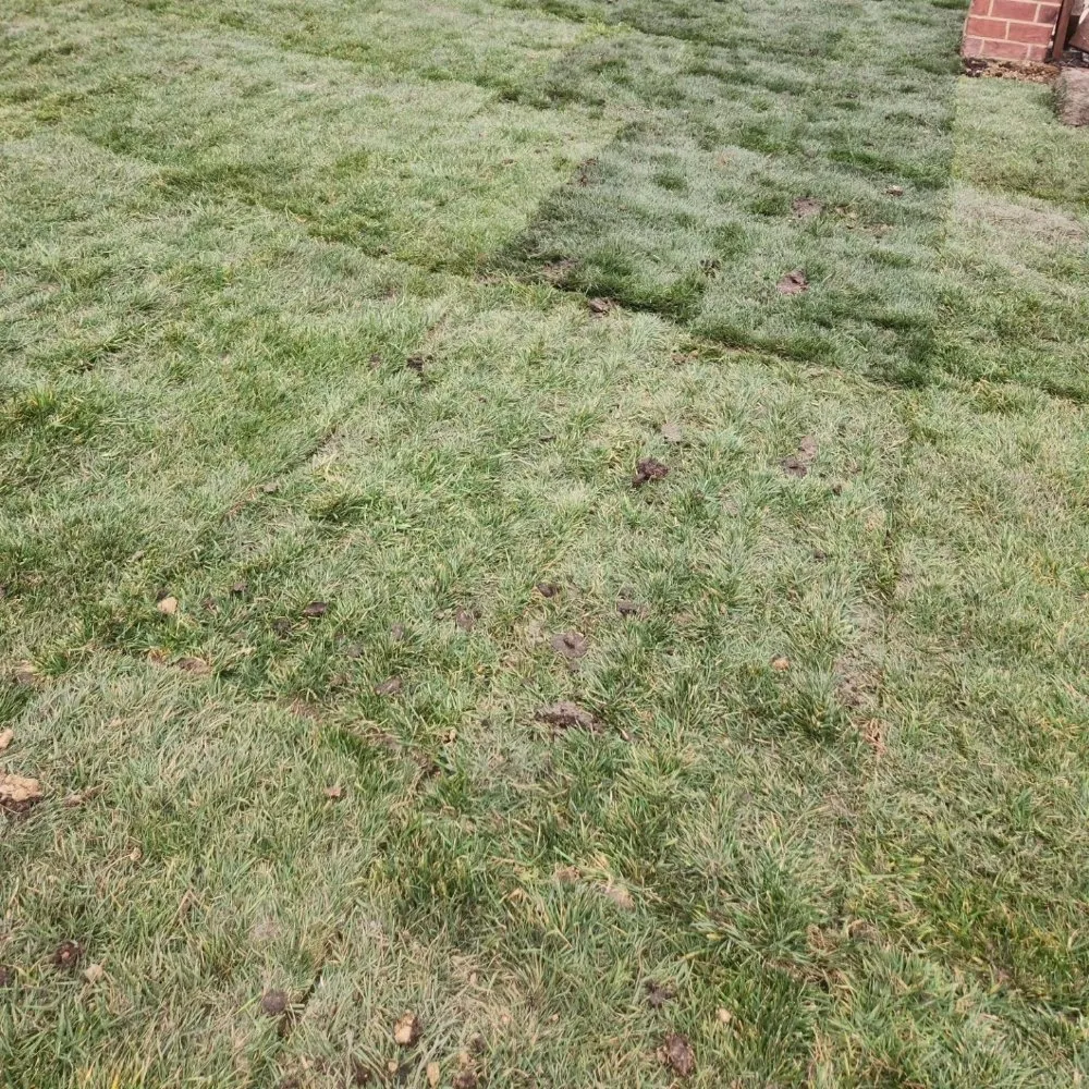 Custom outdoor landscaping in Charlotte, NC - Plus Contracting