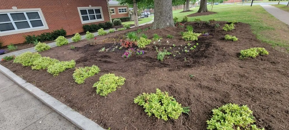 Top-rated lawn care service in Charlotte, NC - Plus Contracting