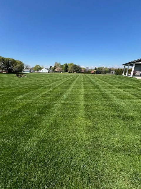 Top-rated lawn care service experts serving Hokendauqua, PA - Plus Green Lawn Care