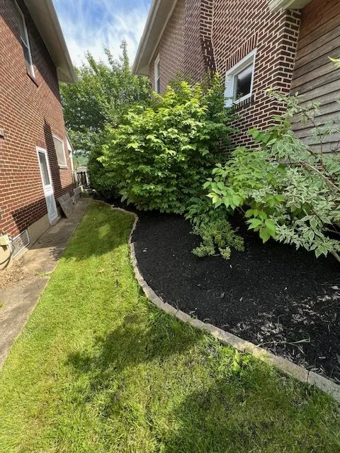 Top-rated residential landscaping experts serving Hokendauqua, PA - Plus Green Lawn Care