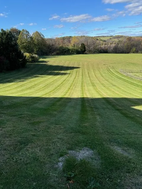 Trusted lawn care service in Hokendauqua, PA by Plus Green Lawn Care