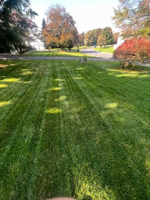 Top-rated residential landscaping in Hokendauqua, PA by Plus Green Lawn Care