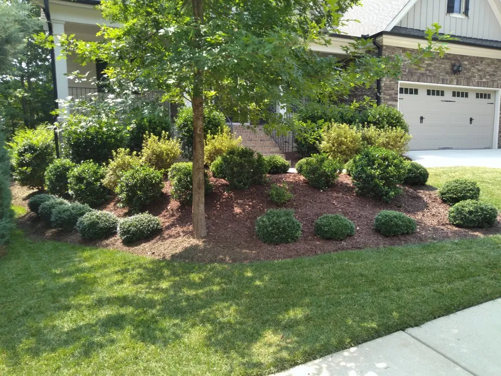 Expert residential landscaping in Angier, NC by Plush Enterprises
