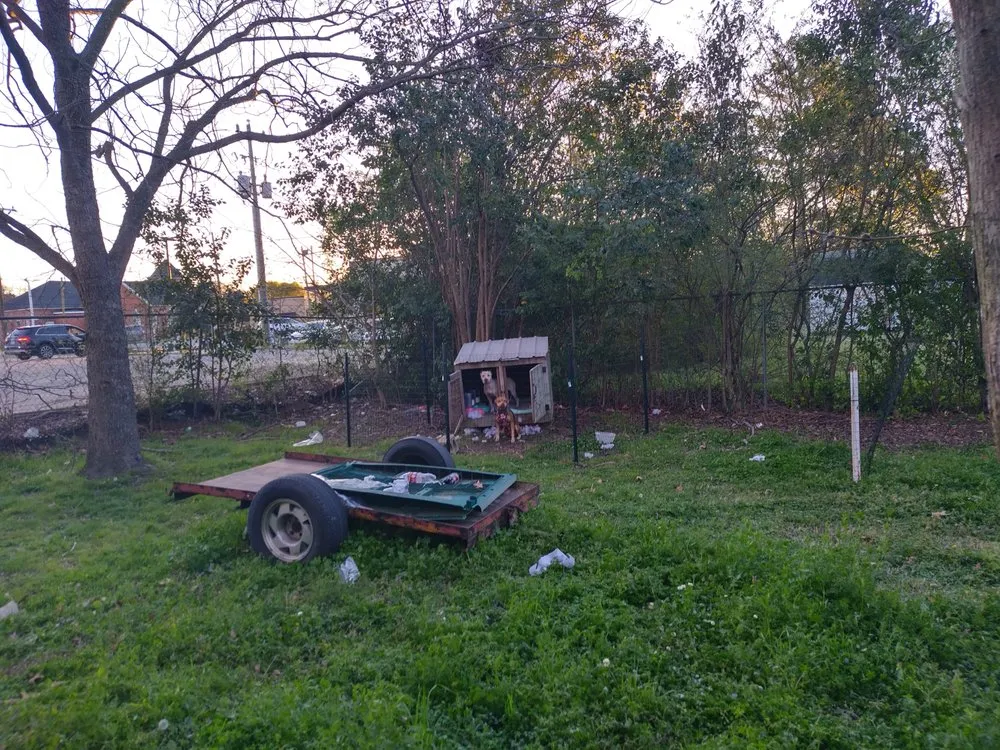 Expert lawn care service in Angier, NC by Plush Enterprises