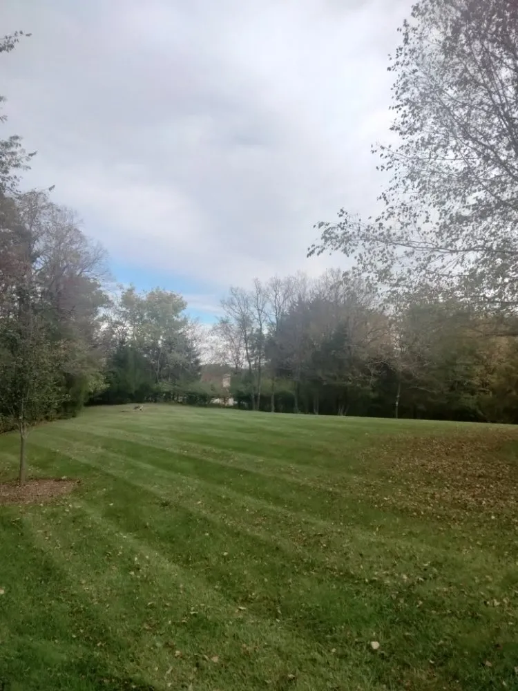 Trusted landscaping services experts serving Saint Louis, MO - Plush Property Solutions