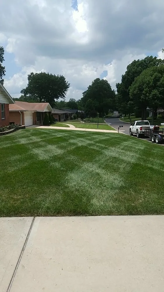 Reliable garden landscaping for year-round maintenance in Saint Louis, MO by Plush Property Solutions