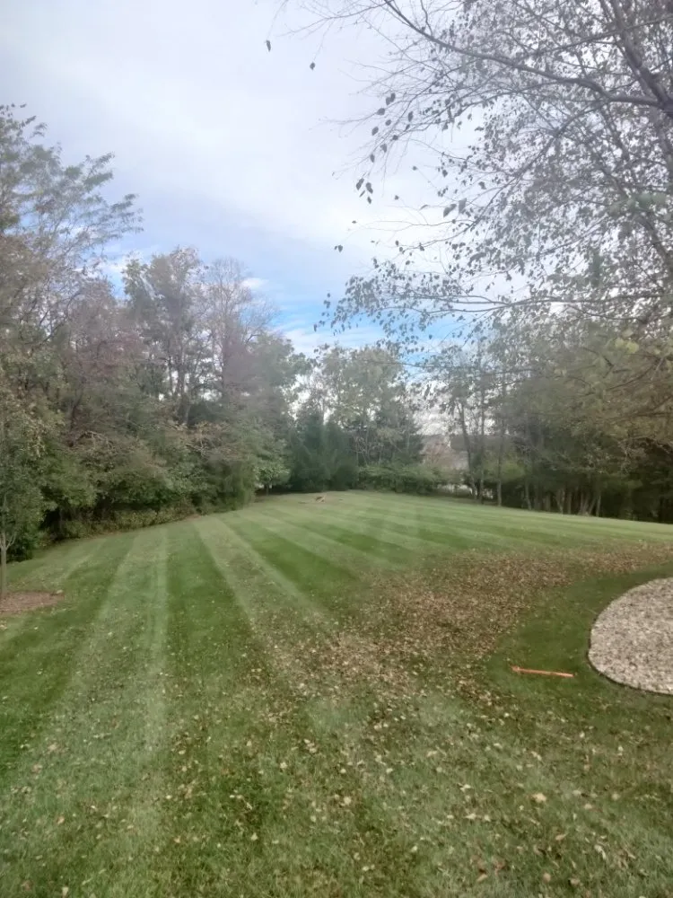 Top-rated lawn care service in Saint Louis, MO - Plush Property Solutions