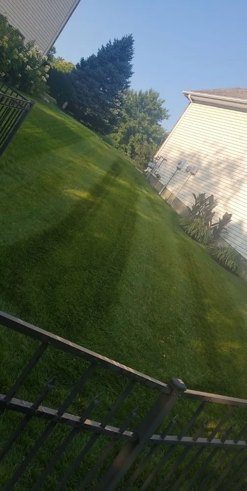 Reliable yard maintenance for homes across Saint Louis, MO - Plush Property Solutions