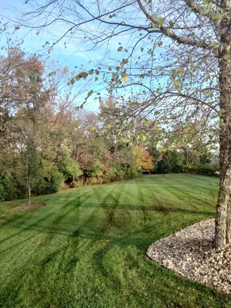 Expert outdoor landscaping experts serving Saint Louis, MO - Plush Property Solutions