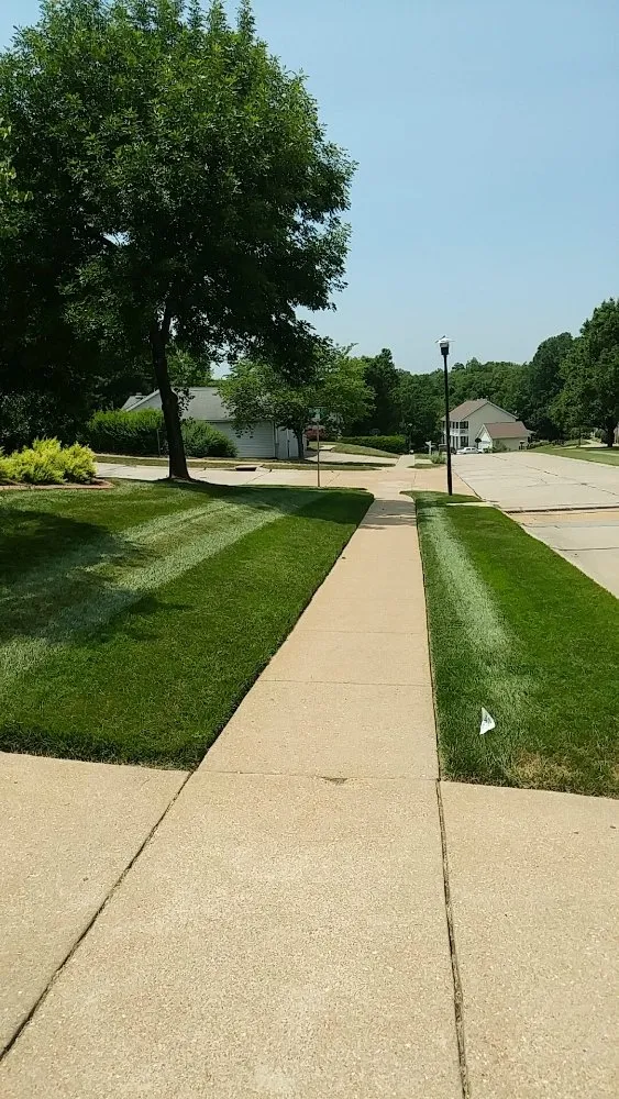 Trusted garden landscaping for homes across Saint Louis, MO - Plush Property Solutions