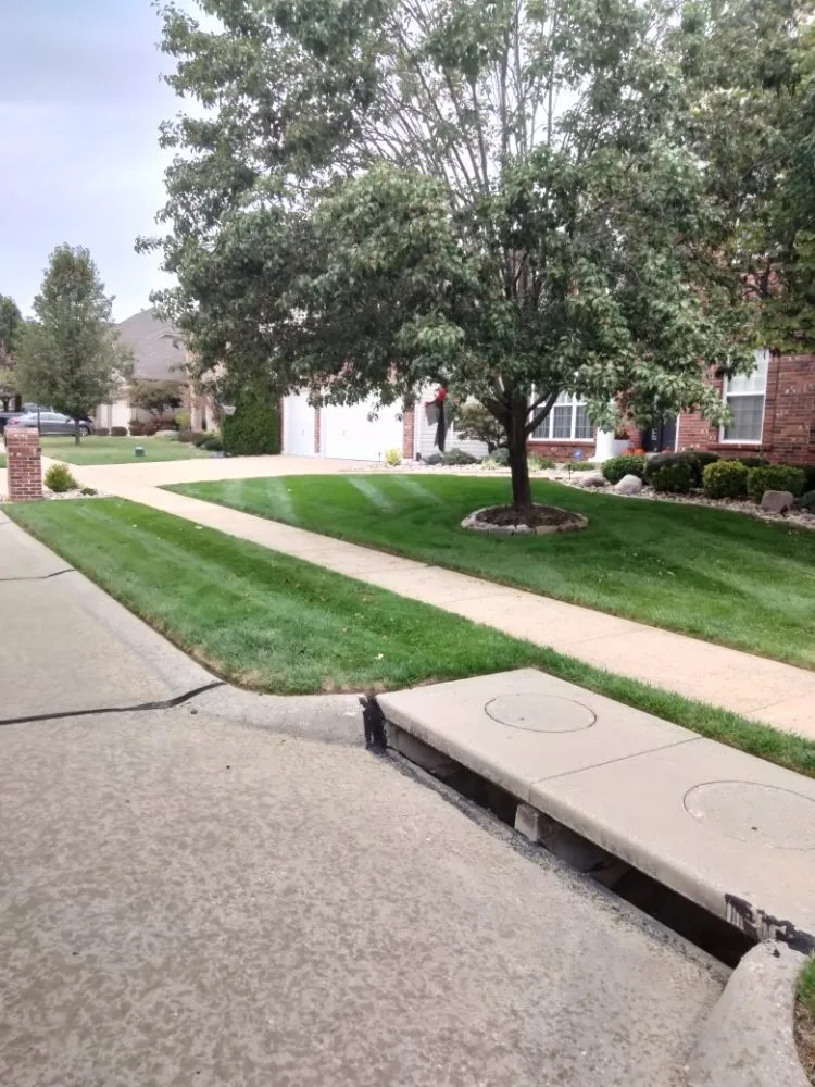 Affordable lawn mowing service for outdoor upgrades in Saint Louis, MO by Plush Property Solutions