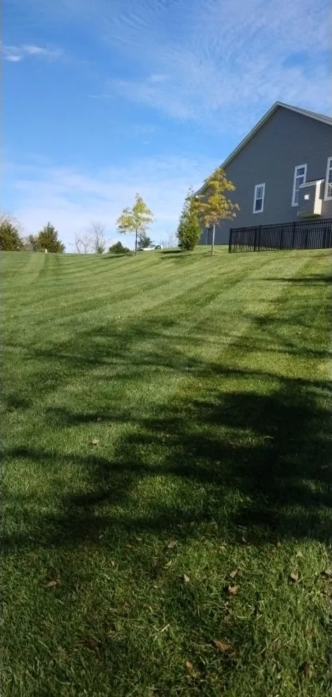 Expert landscape installation for beautiful yards in Saint Louis, MO by Plush Property Solutions