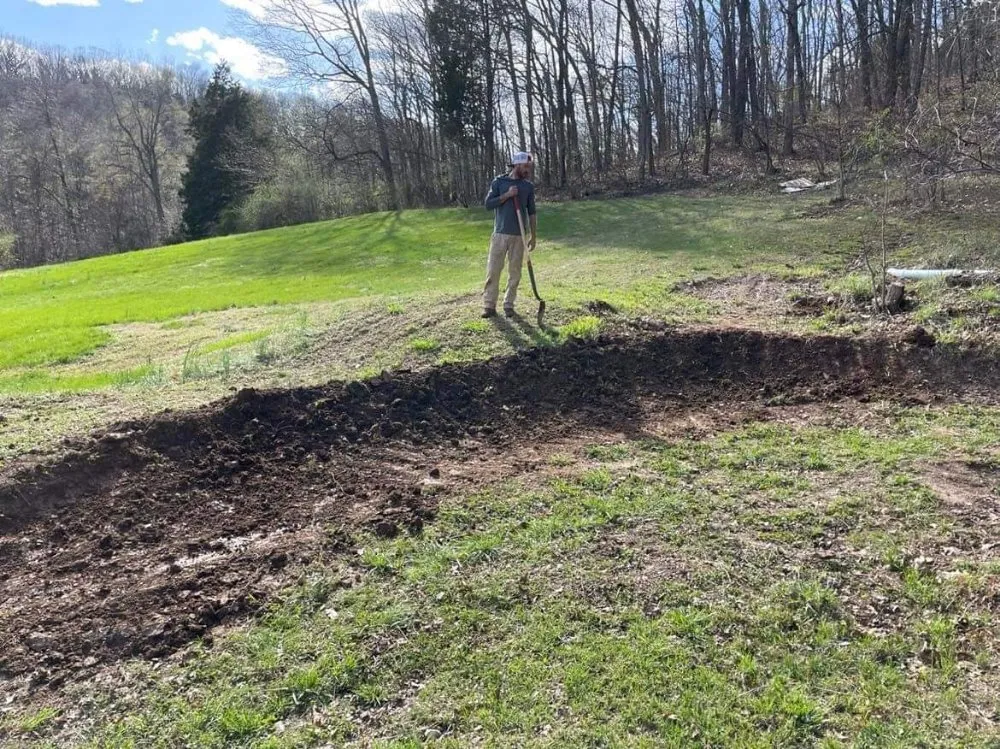 Local yard cleanup service in Saint Louis, MO by Plush Property Solutions