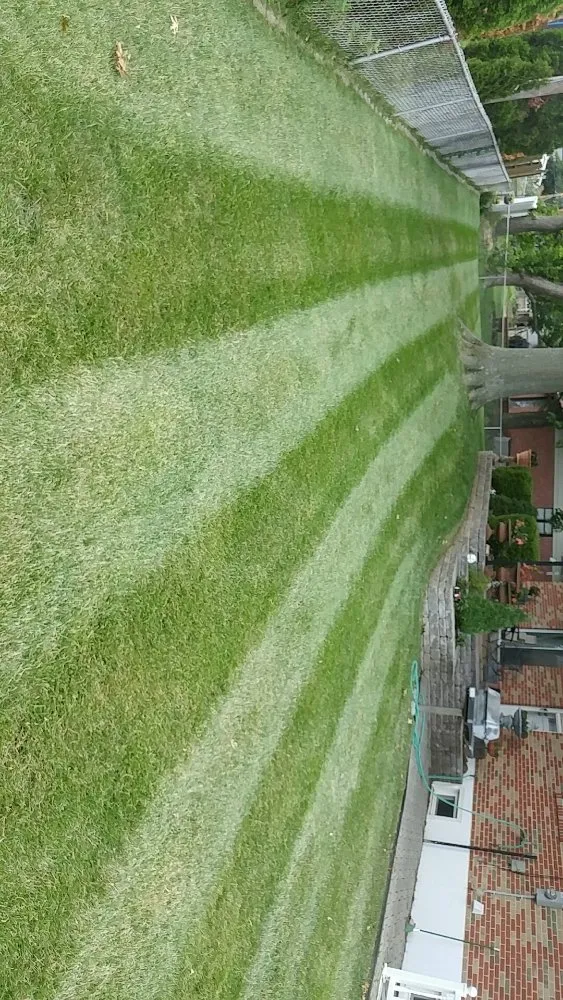 Expert garden landscaping in Saint Louis, MO by Plush Property Solutions