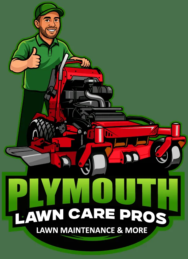 Professional lawn care service with custom design in Plymouth, MN by Plymouth Lawn Care Pros