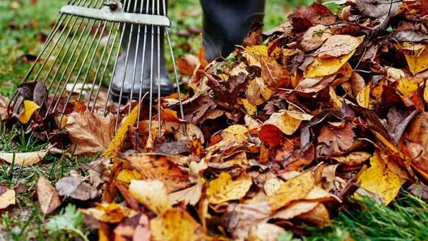 Plymouth Lawn Care Pros Logo