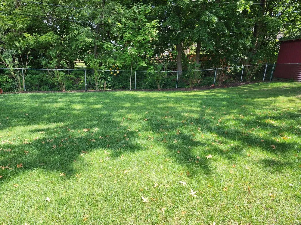 Expert residential landscaping for beautiful yards across Plymouth Meeting, PA - Plymouth Nursery & Landscape