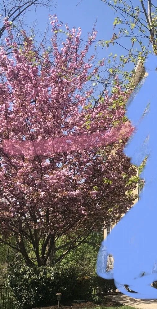 Reliable landscape installation for beautiful yards across Plymouth Meeting, PA - Plymouth Nursery & Landscape