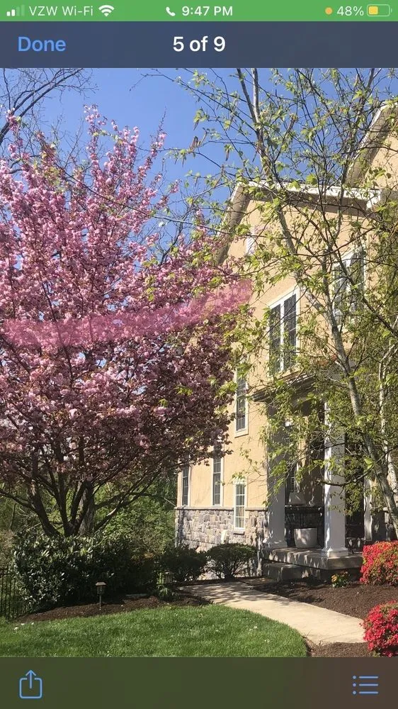 Reliable yard maintenance in Plymouth Meeting, PA by Plymouth Nursery & Landscape