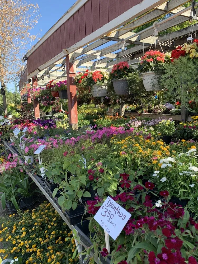 Custom yard cleanup service experts serving Plymouth Meeting, PA - Plymouth Nursery & Landscape