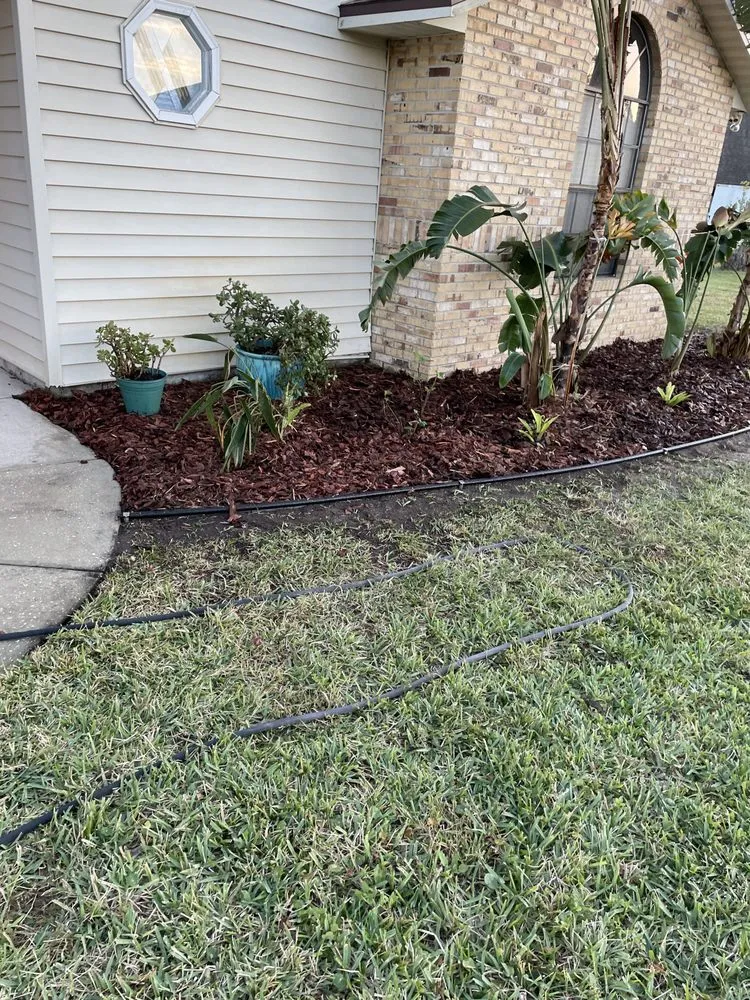 Professional residential landscaping experts serving Daytona Beach, FL - Pm Beautification