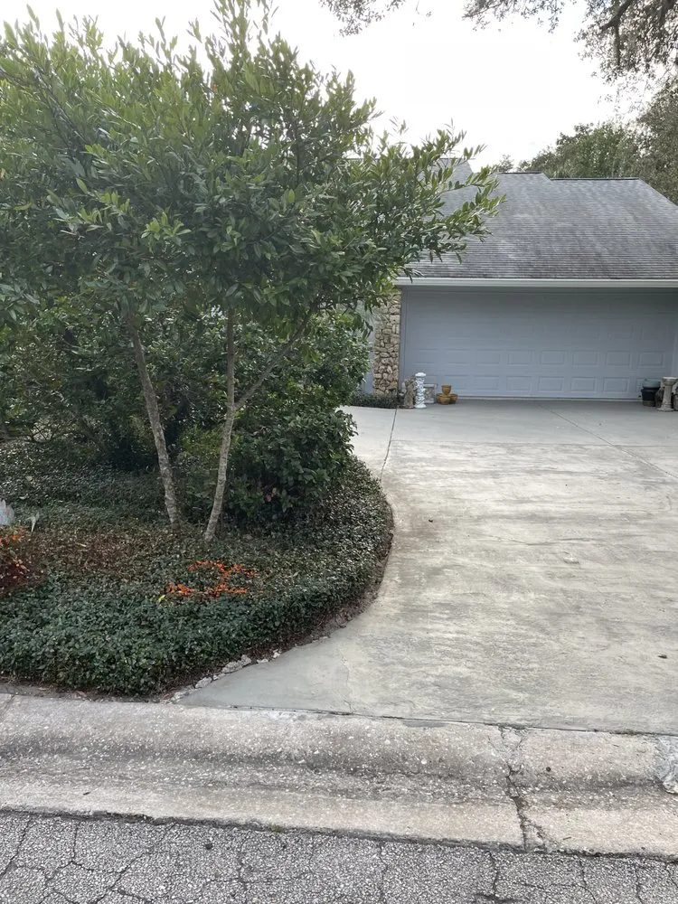 Expert yard cleanup service for year-round maintenance across Daytona Beach, FL - Pm Beautification