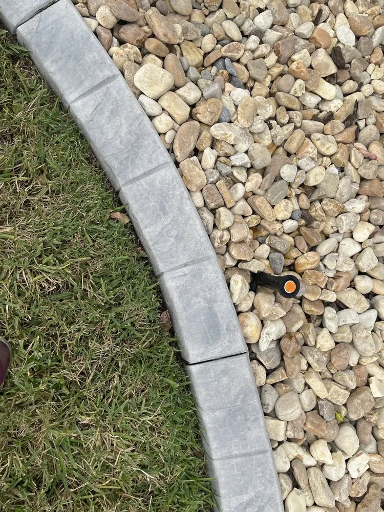 Professional yard cleanup service in Daytona Beach, FL - Pm Beautification