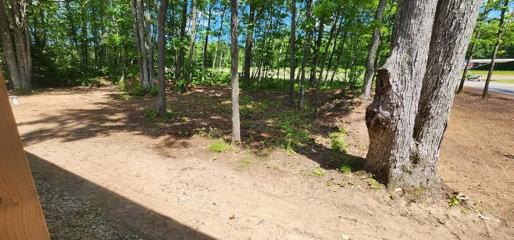Custom yard cleanup service experts serving Harshaw, WI - P&M General Construction