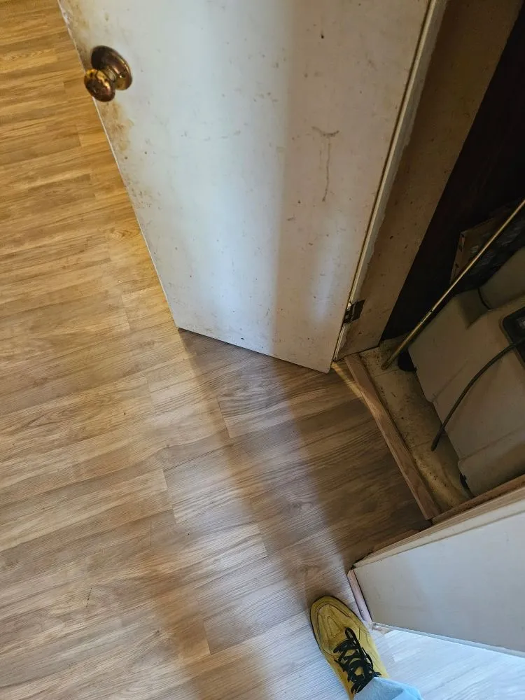 Reliable yard cleanup service in Durham, NC by PM Home Improvements And Landscaping