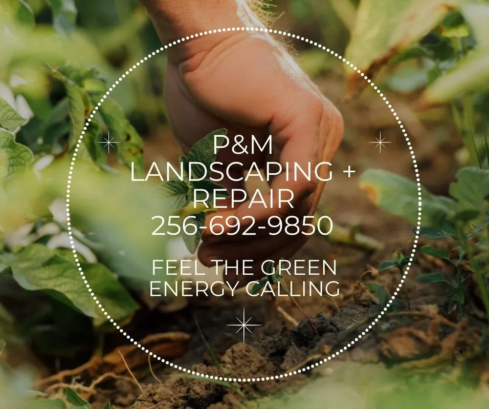 Trusted yard cleanup service experts serving Huntsville, AL - P&M landscaping + repairs