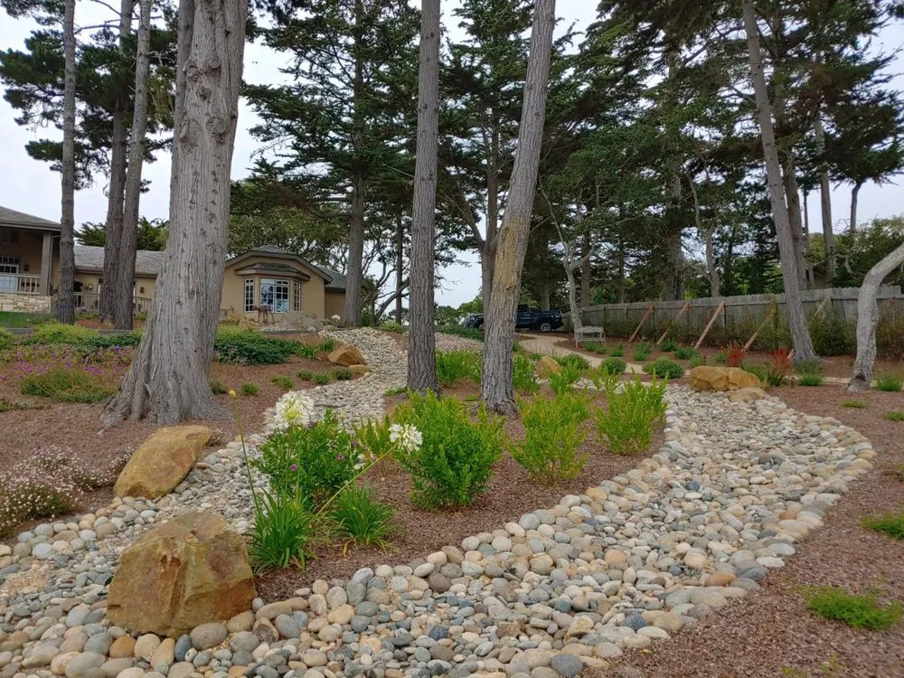 Custom yard maintenance for outdoor upgrades in Monterey, CA by PM Landscaping Service