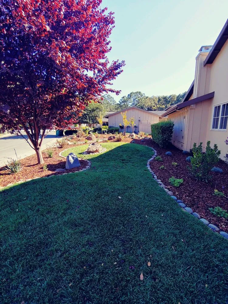 Reliable outdoor landscaping in Monterey, CA by PM Landscaping Service