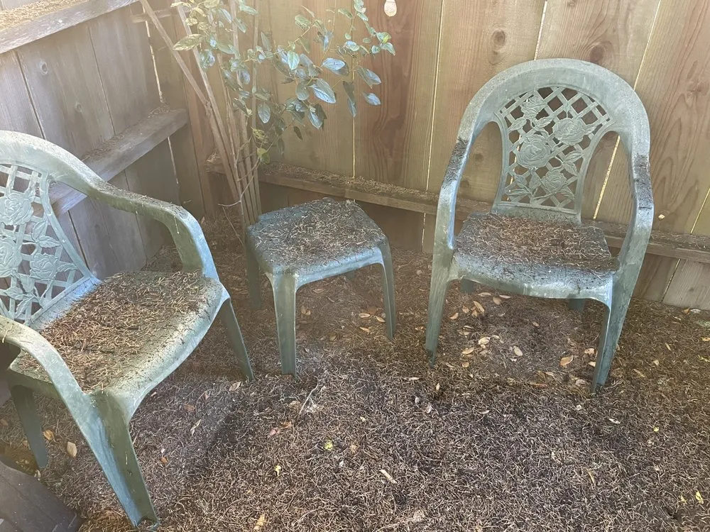 Reliable landscape design experts serving Monterey, CA - PM Landscaping Service