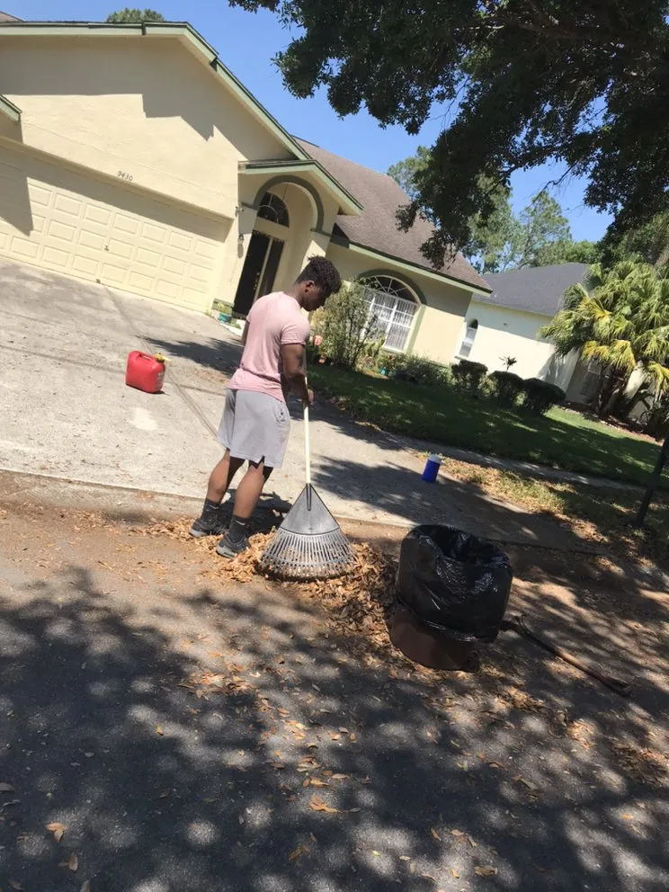 Top-rated landscape installation in Tampa, FL - P&M Landscaping