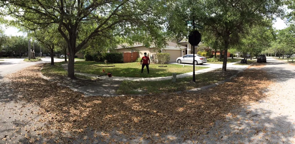 Custom outdoor landscaping for homes in Tampa, FL by P&M Landscaping