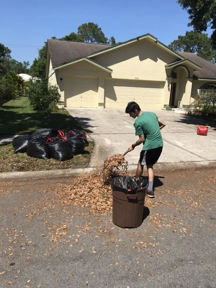 Affordable landscape design experts serving Tampa, FL - P&M Landscaping