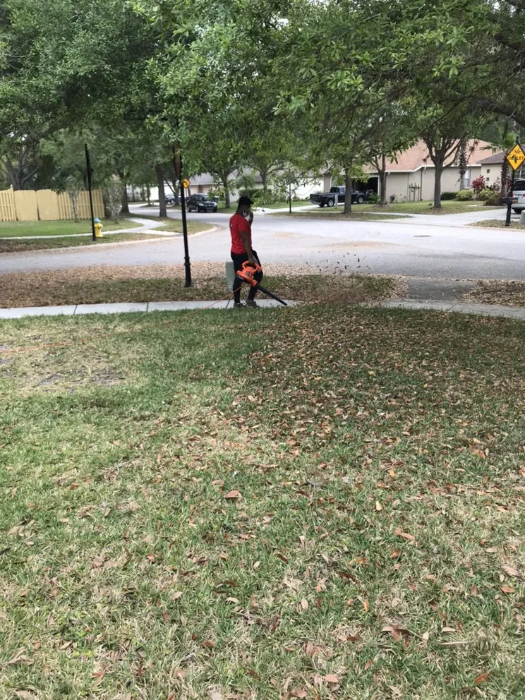 Reliable garden landscaping for residential properties in Tampa, FL by P&M Landscaping