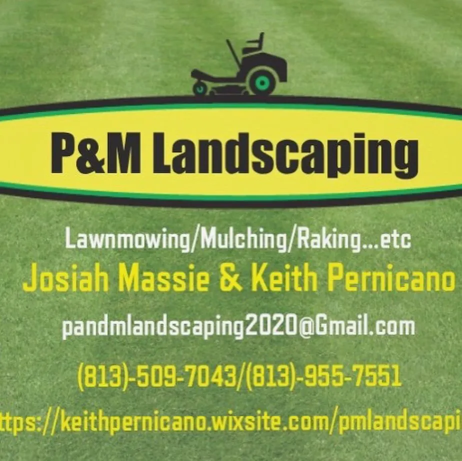 Top-rated landscaping services experts serving Tampa, FL - P&M Landscaping