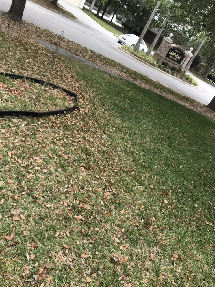 Local yard maintenance with custom design across Tampa, FL - P&M Landscaping