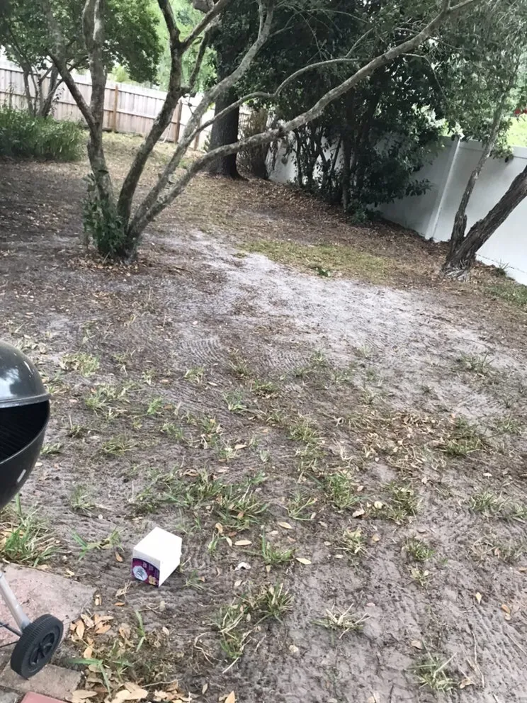 Top-rated landscape design experts serving Tampa, FL - P&M Landscaping