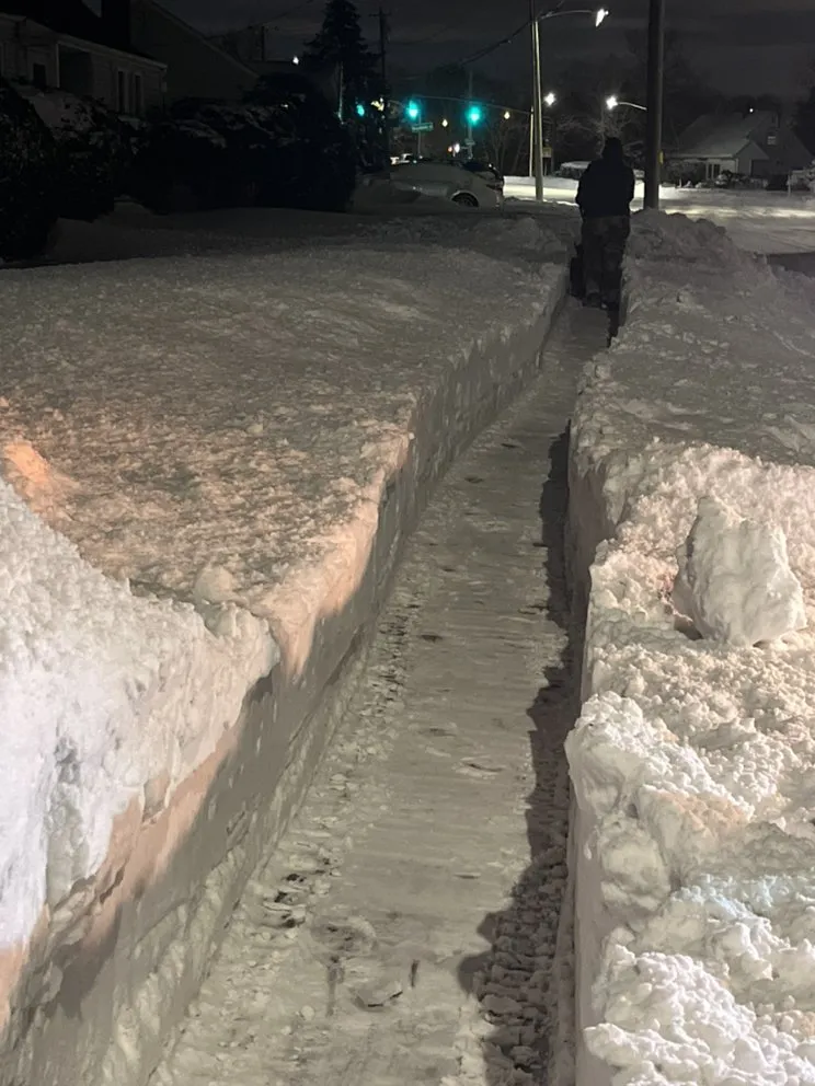 Professional landscape design for year-round maintenance across Lindenhurst, NY - Pm Monster Werks