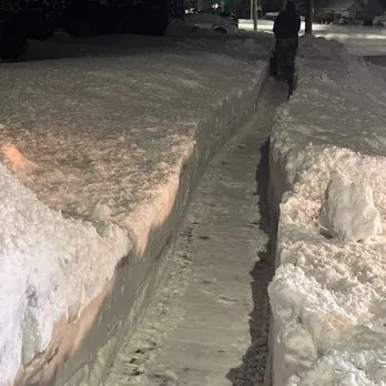 Reliable yard maintenance in Lindenhurst, NY - Pm Monster Werks