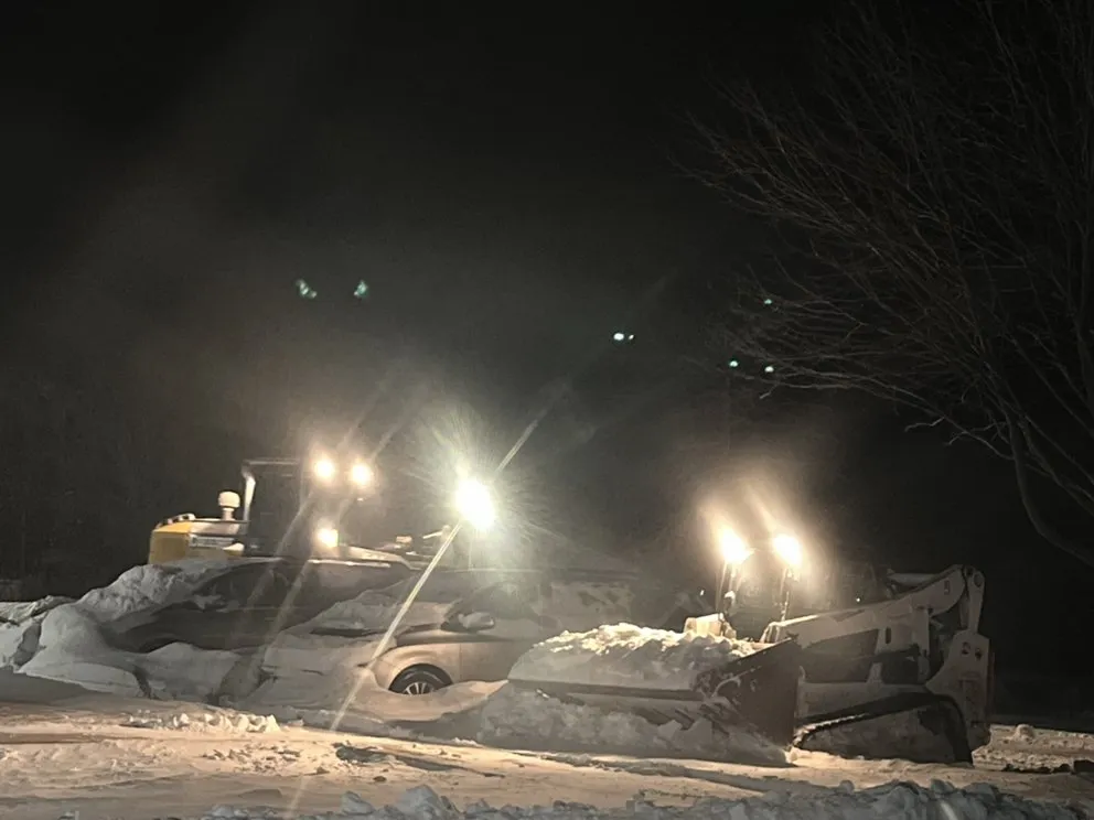 Top-rated lawn care service in Lindenhurst, NY by Pm Monster Werks