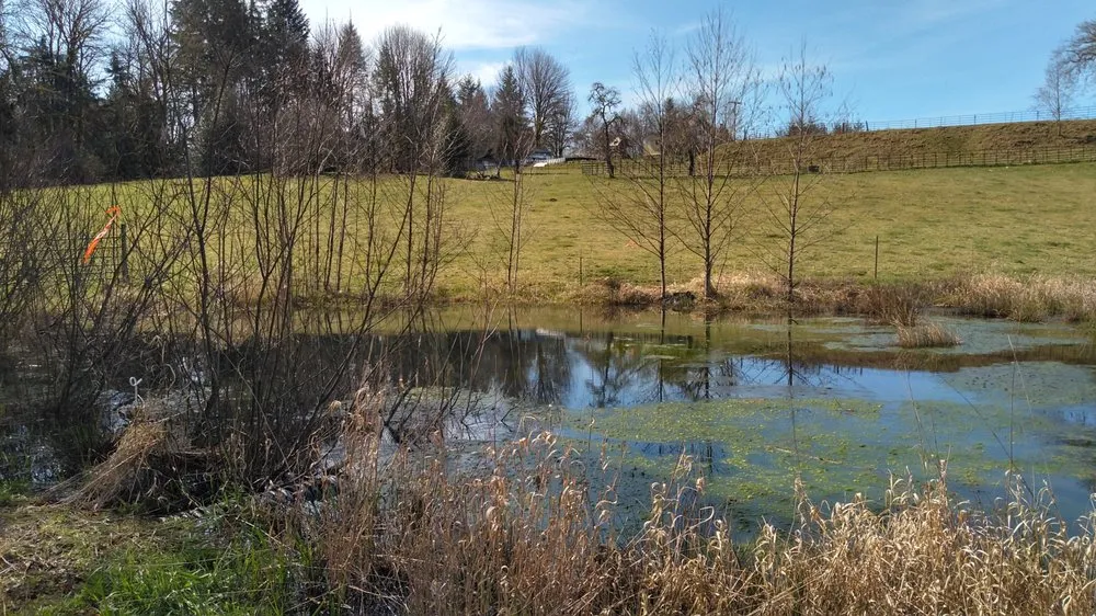 Expert lawn care service for residential properties in Amboy, WA by PM Property Maintenance