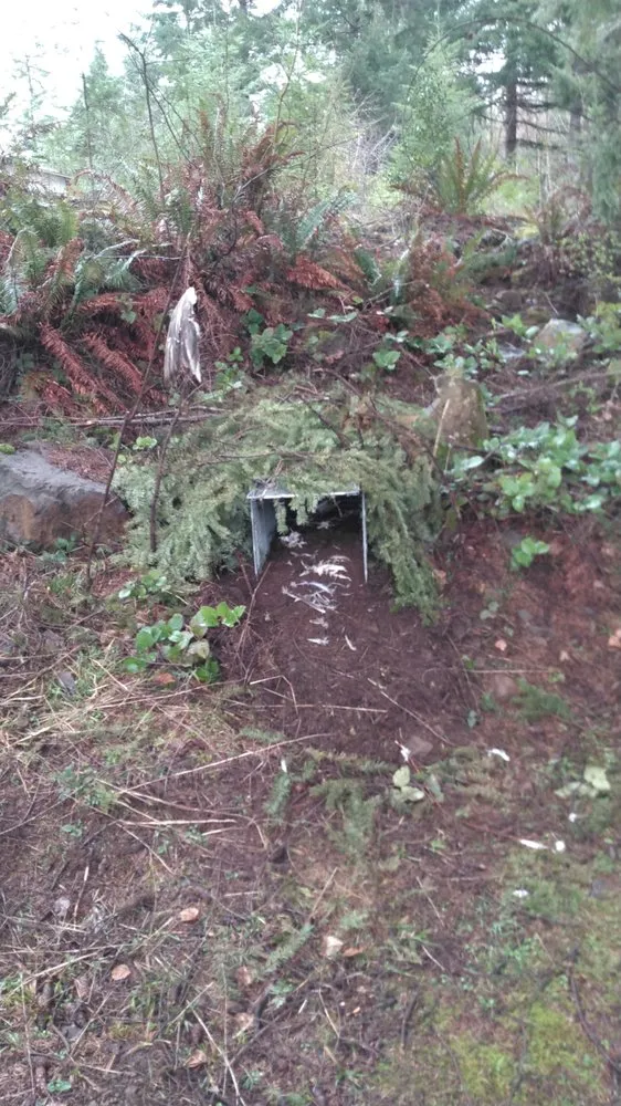 Reliable lawn mowing service for homes across Amboy, WA - PM Property Maintenance